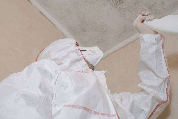 Best Mold Damage Repair  in Rush Springs, OK