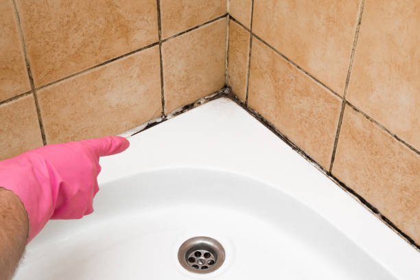 Best Commercial Mold Removal  in Rush Springs, OK